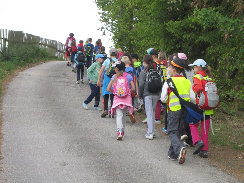 škola v přírodě 2015 026